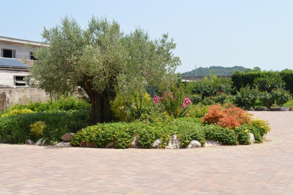 Agriturismo Ca' Del Gal Valeggio sul Mincio Luaran gambar