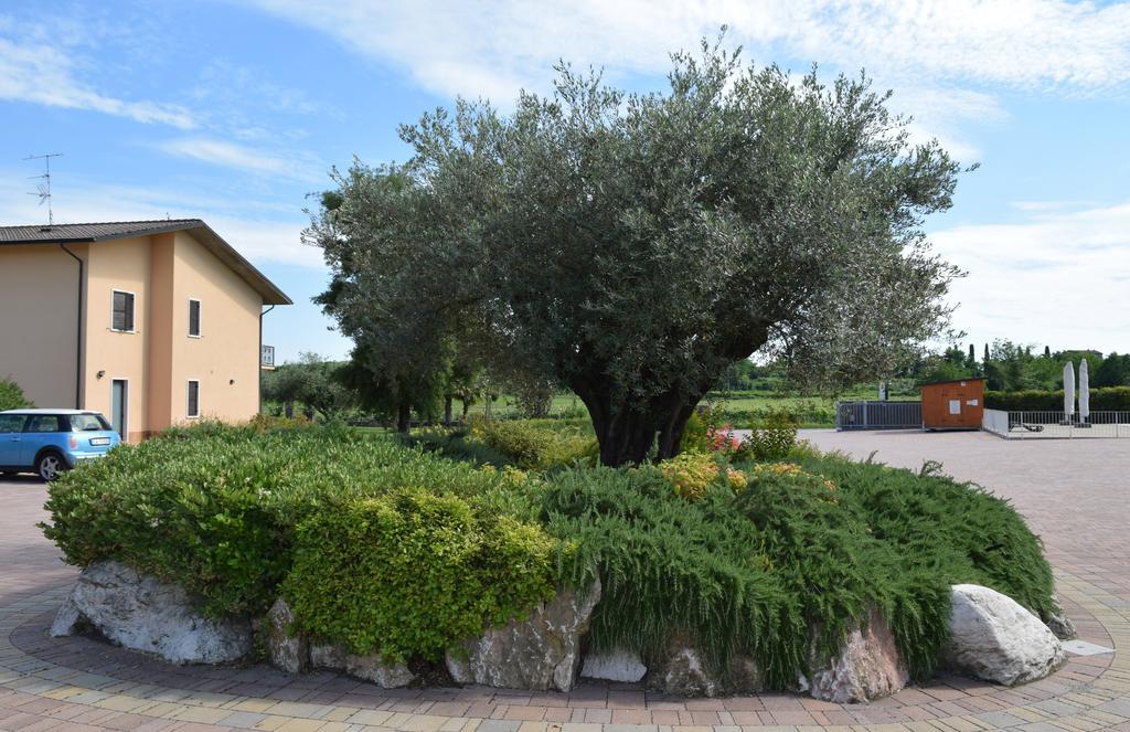 Agriturismo Ca' Del Gal Valeggio sul Mincio Luaran gambar