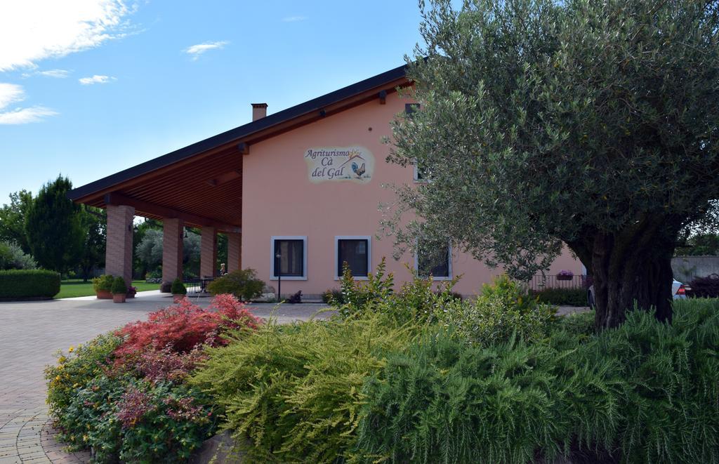Agriturismo Ca' Del Gal Valeggio sul Mincio Luaran gambar