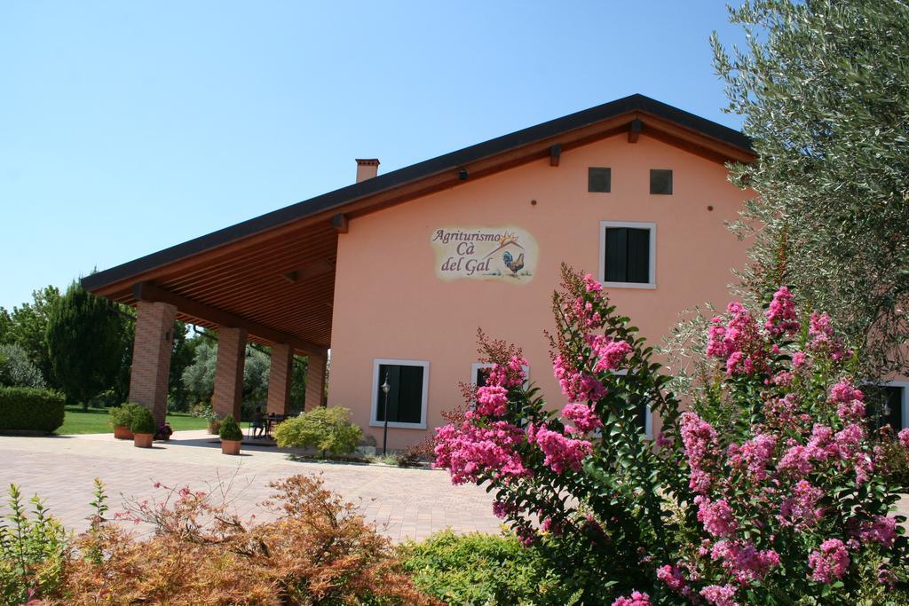 Agriturismo Ca' Del Gal Valeggio sul Mincio Luaran gambar